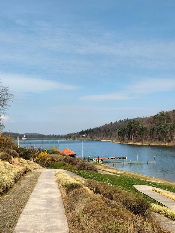 Neues-Ferienhaus-Am-Schoenen-Ferienpark-Twistesee-Naehe-Bad-Arolsen Бад-Арользен Экстерьер фото